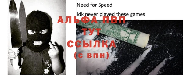 гидра Володарск