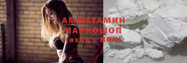 шишки Бородино