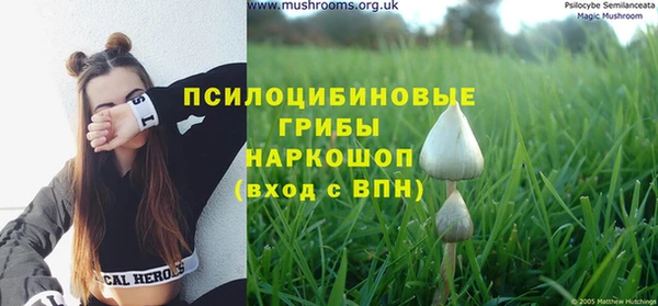гидра Володарск